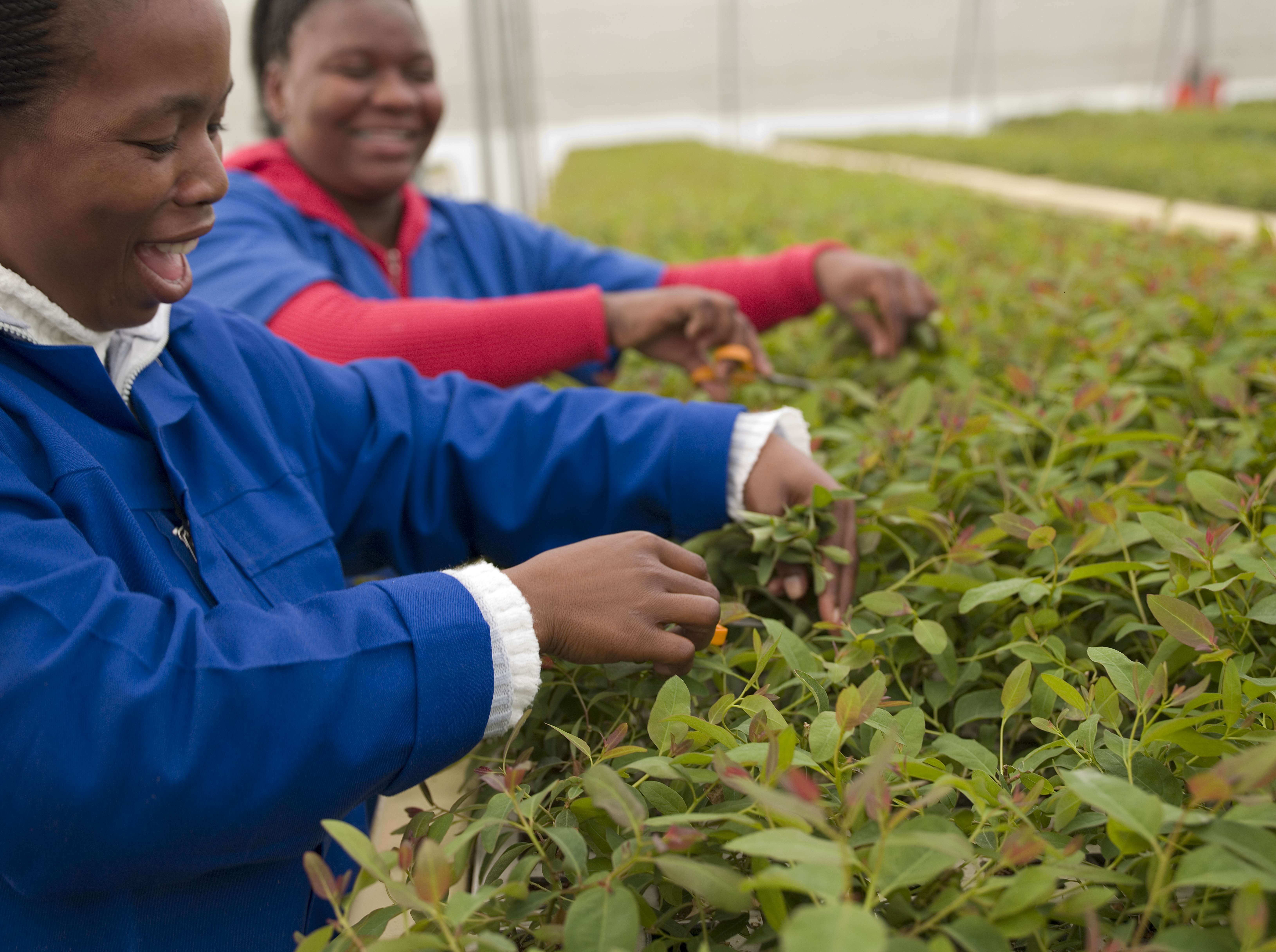 Image: BEST-SA-nursery-039