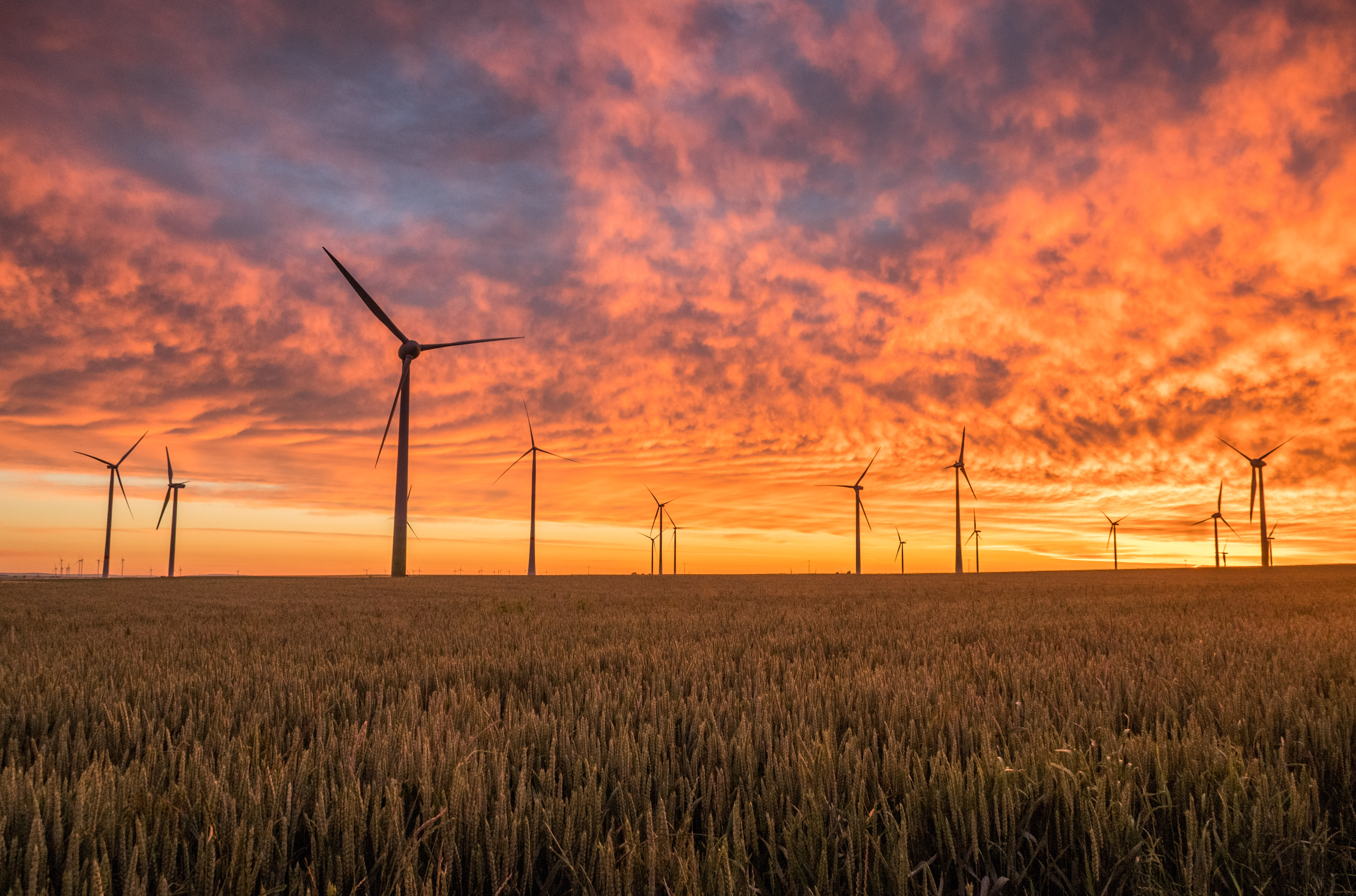 Image: ©Unsplash - Karsten Wurth 104731