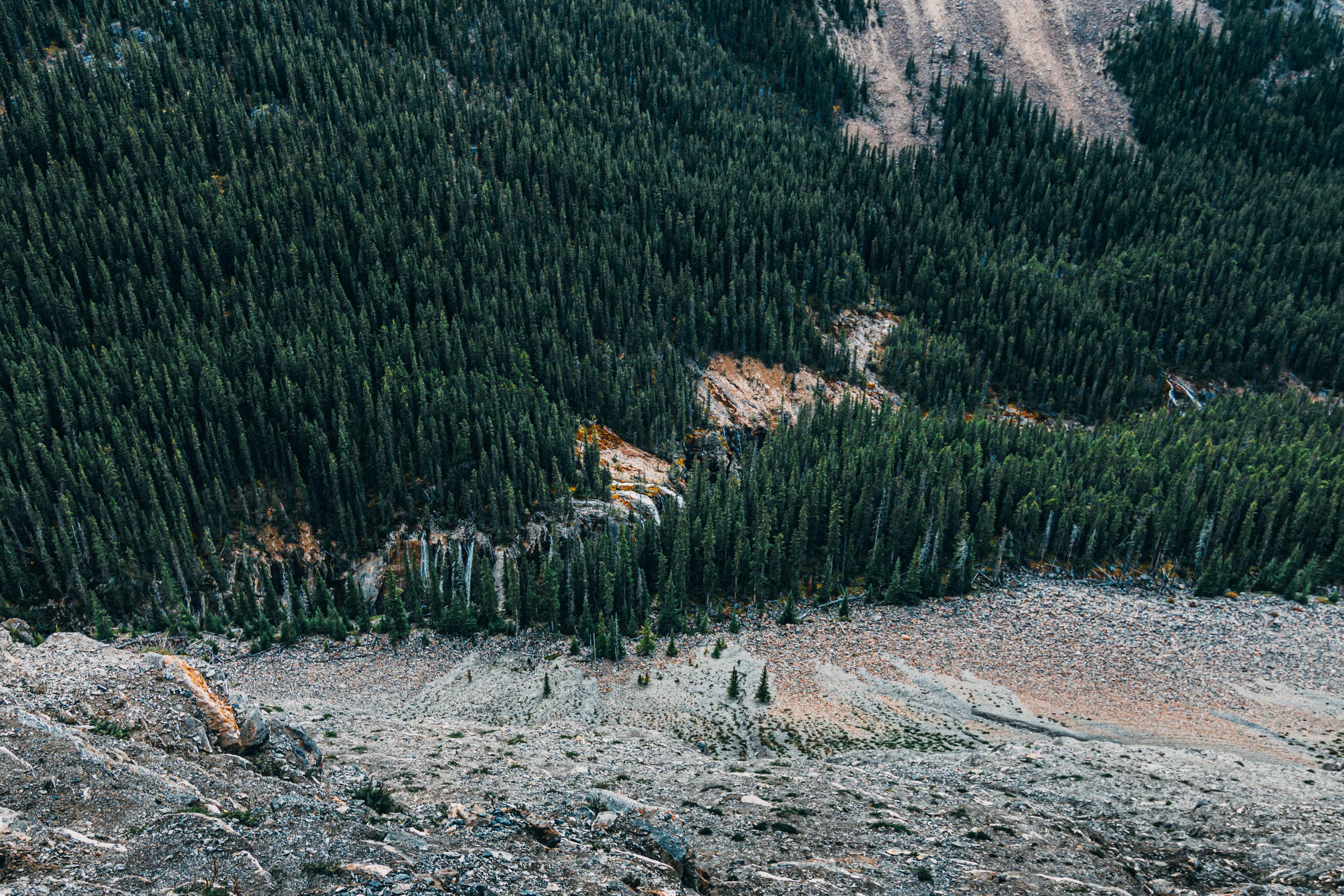 Image: ©Unsplash