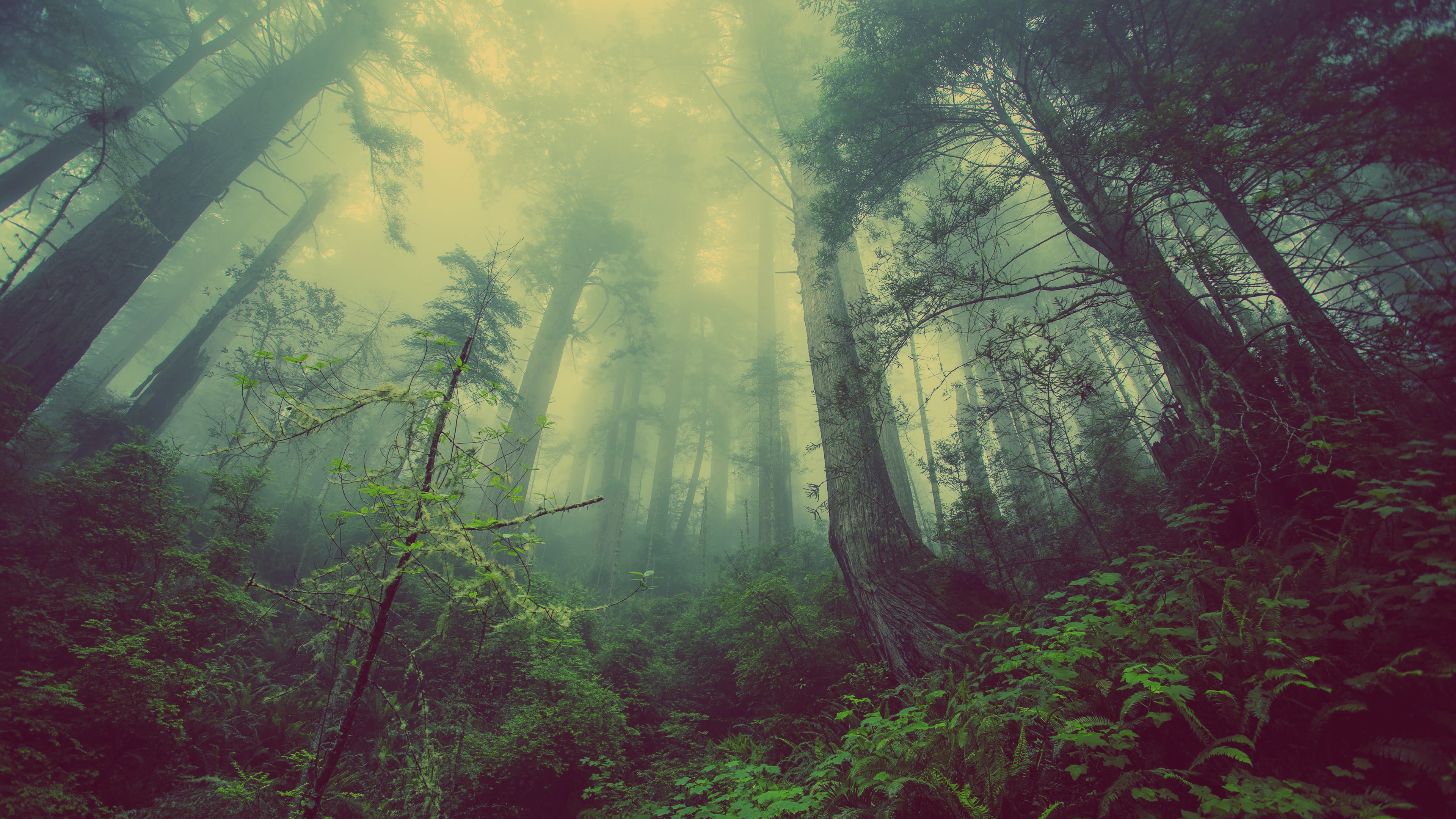 Image: ©Unsplash