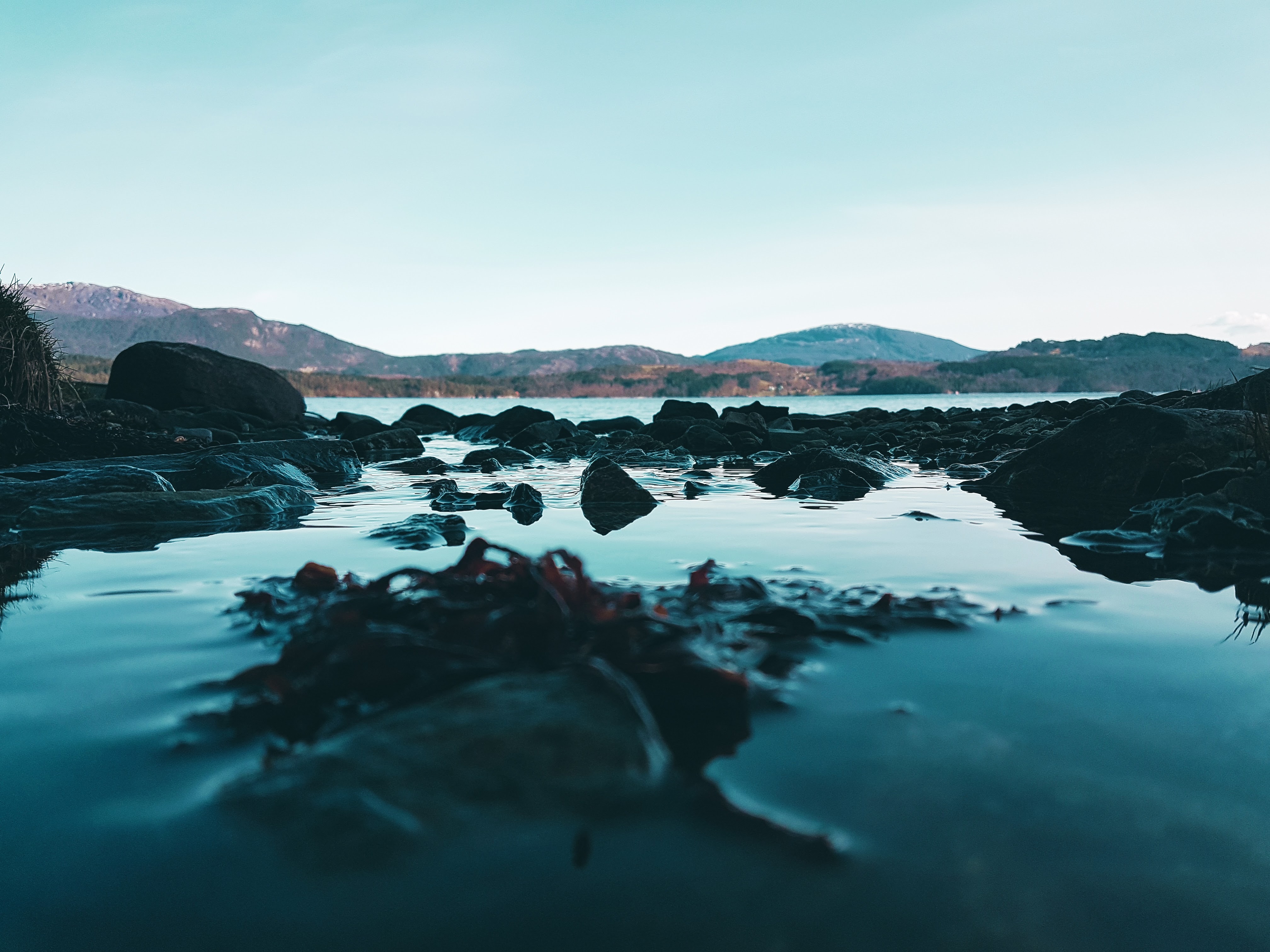 Image: ©Unsplash - Steffen Mossefinn