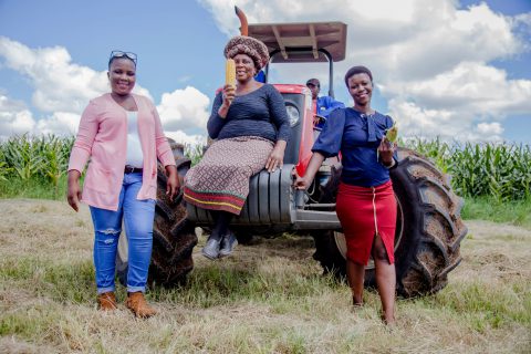 Image: Women in Maize farmers from Ekuphileni Poultry and Agricultural Farming Cooperative Ltd, based in Utrecht in KwaZulu-Natal